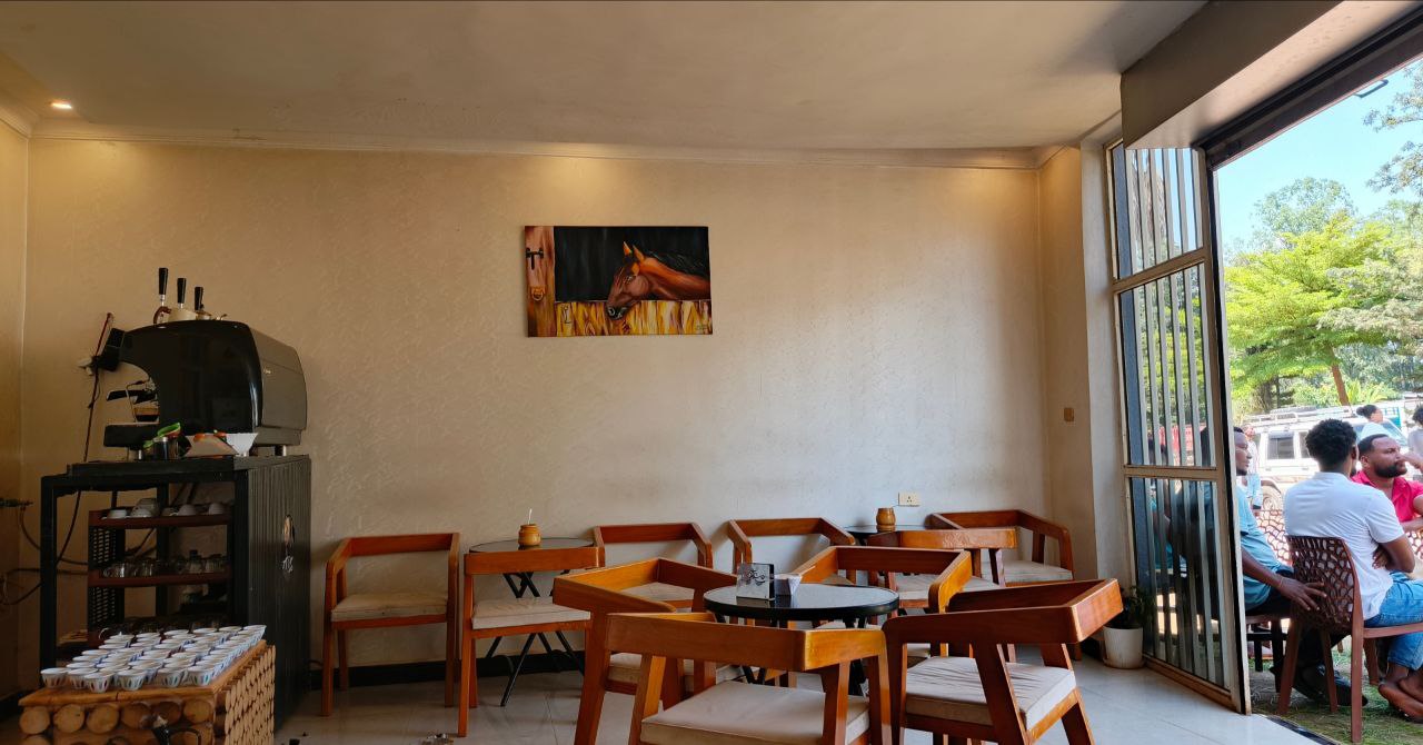 Dagim Gallery 2